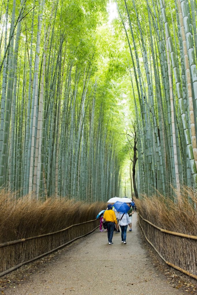 Arashiyama Bamboo Grove-Kyoto
